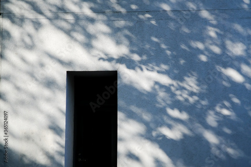 壁に映る木漏れ日