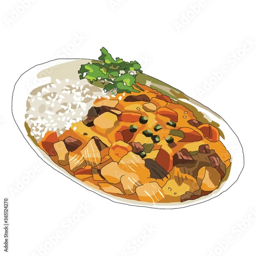 curry rice meal