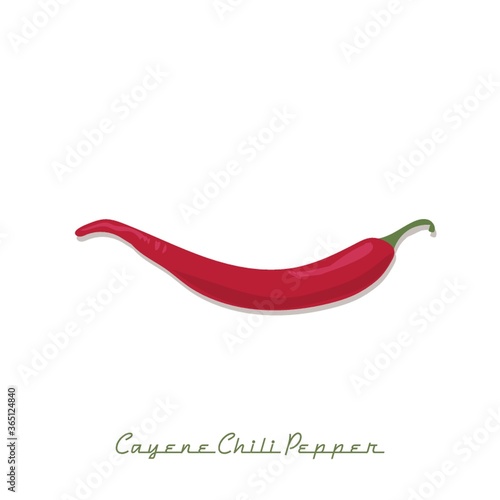 cayenne chili pepper