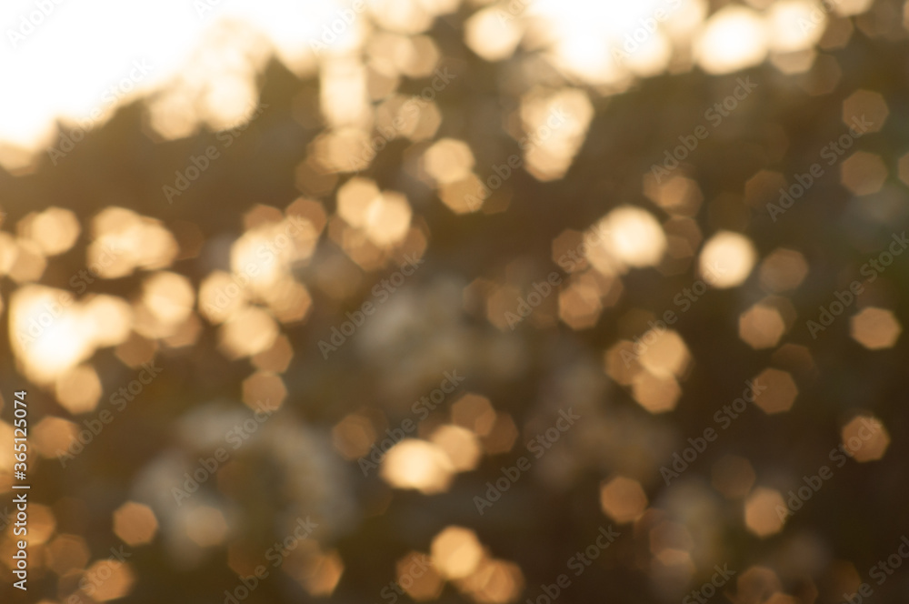 Gold, orange  bokeh blur the abstract background