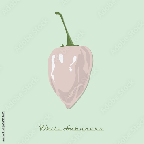 white habanero pepper