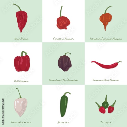 set of chili icons