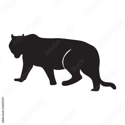 silhouette of tiger
