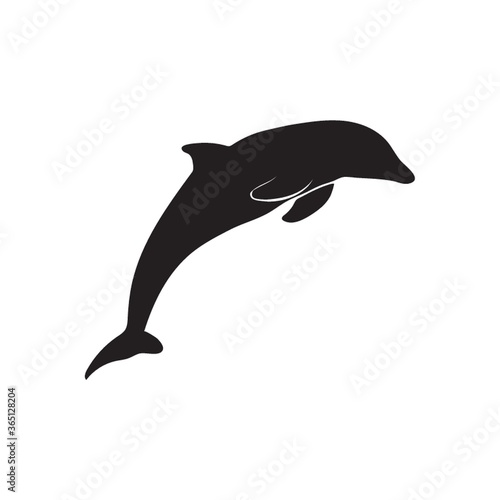silhouette of dolphin