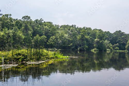 Beautiful and mysterious Wakulla spring state park Florida. Tillansia Spanish Moss  The filming location  Tazan 