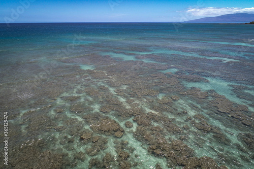 Coral reef from above