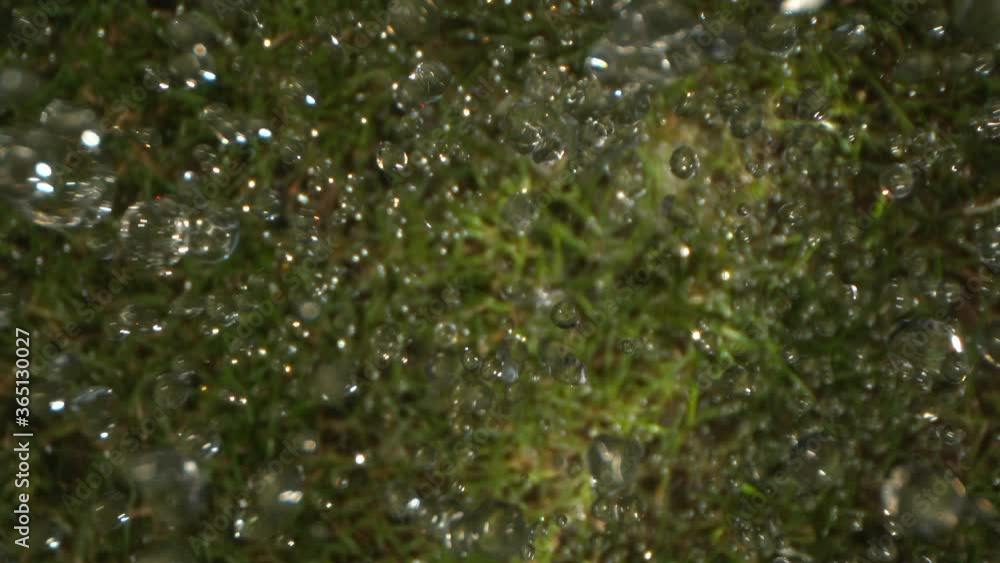 Flying Through the Rain Drops on Green Lawn Grass Shot on Phantom and Laowa 4K Flying Through the Rain Drops on Green Lawn Grass Shot on Phantom and Laowa 4K