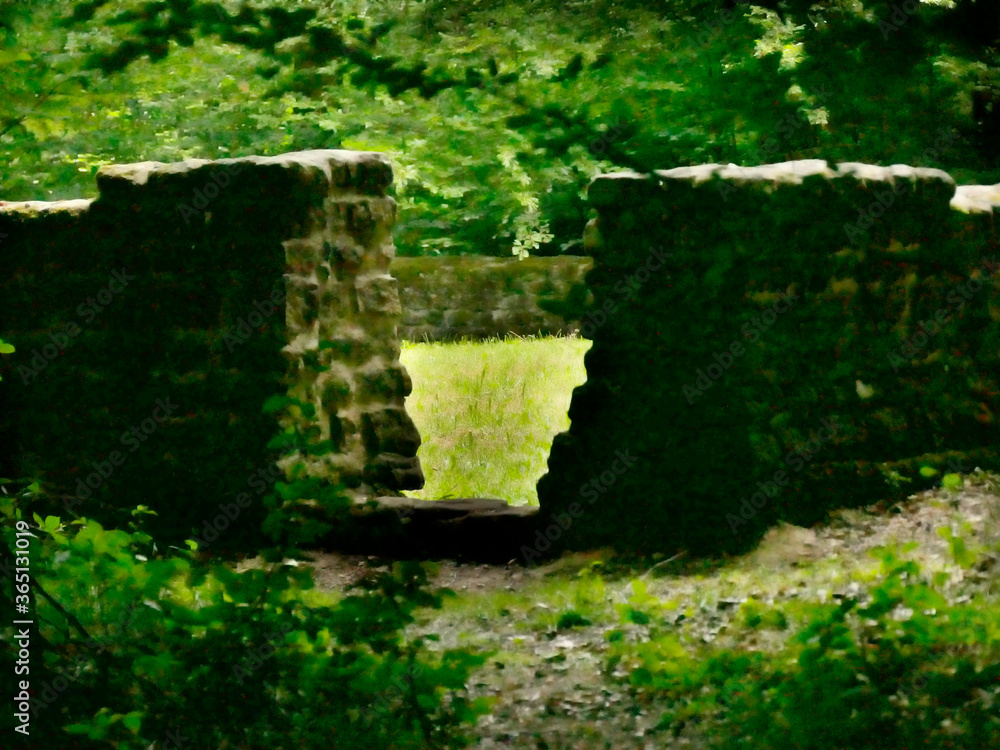 Naklejka premium wall of an historic celtic monument hidden in a German forest