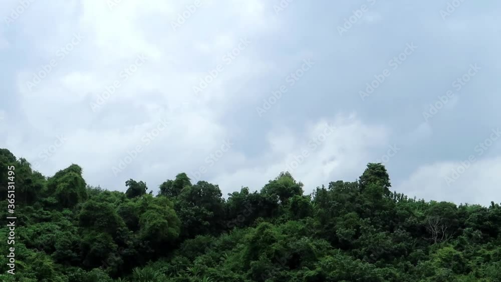Slow motion of white & gray clouds or cumulus cloudscape slowly moved over lush green trees at exotic rain-forest on tropical summer hill in spring sunlight & sun rays, B-roll cinemagraphs footage Slow motion of white & gray clouds or cumulus cloudscape slowly moved over lush green trees at exotic rain-forest on tropical summer hill in spring sunlight & sun rays, B-roll cinemagraphs footage
