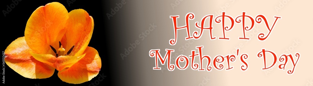 happy mothers day printed in red font on gradient background with orange single isolated tulip flower close up
