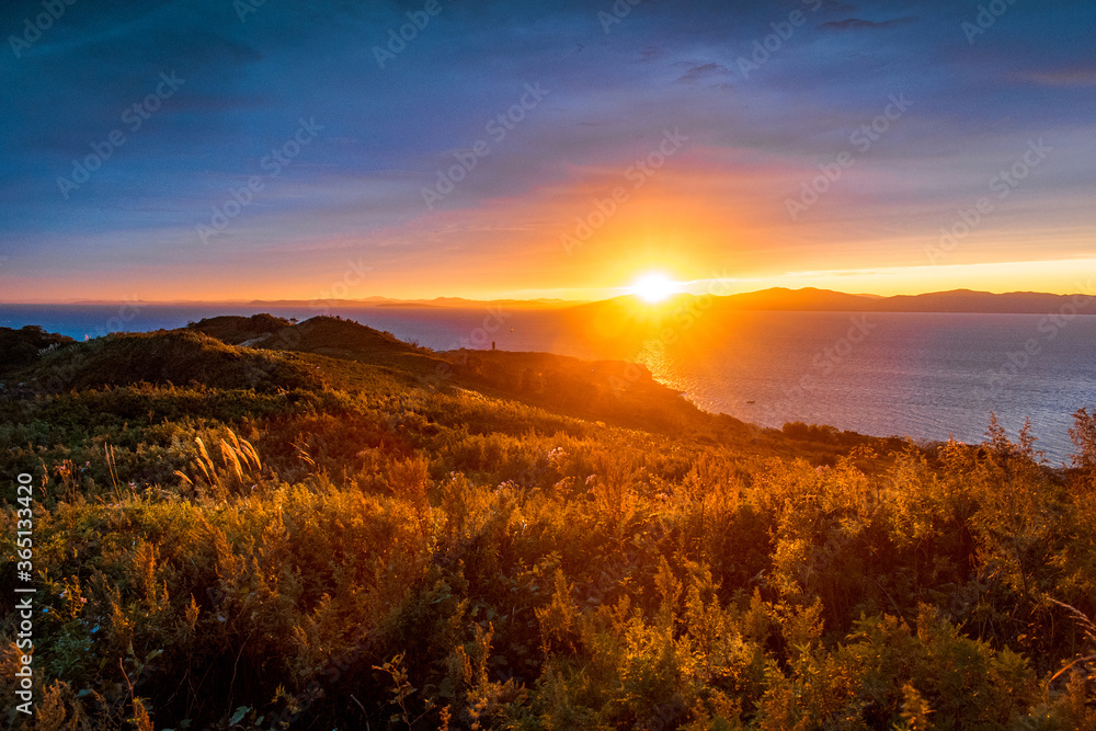 sunset on the top of a mountain covered with grass and meadow flowers