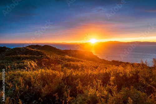 sunset on the top of a mountain covered with grass and meadow flowers