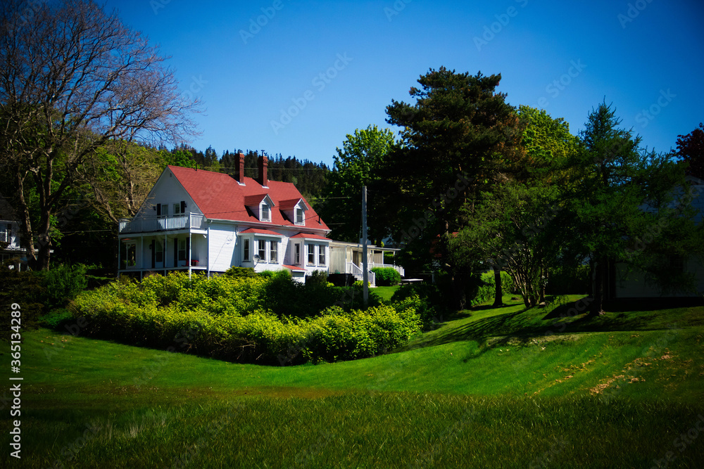 house on the hill house on the hill