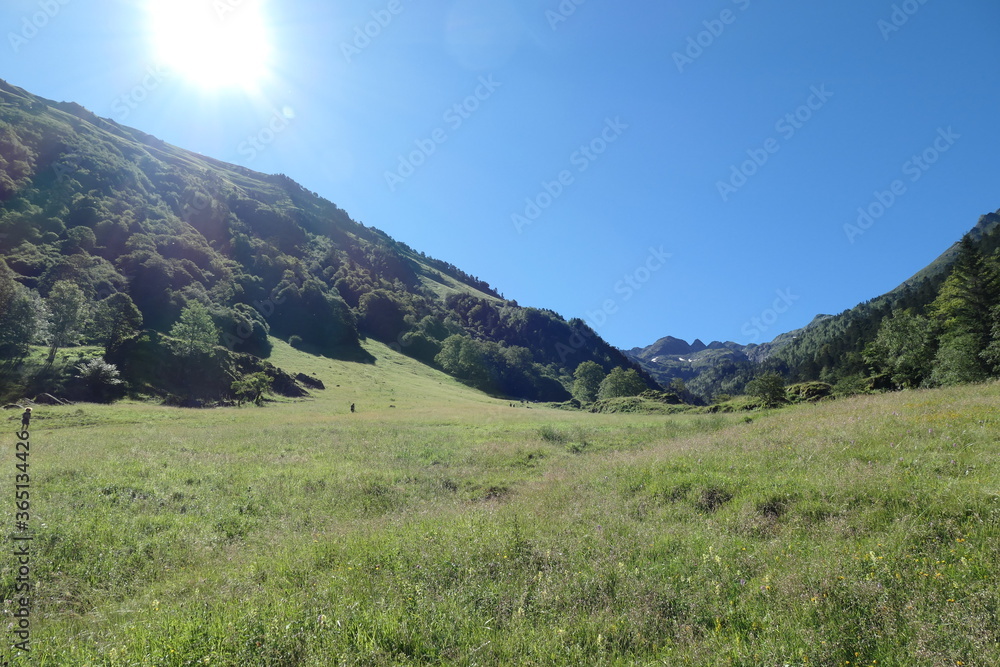 Naklejka premium Vallée du Lys