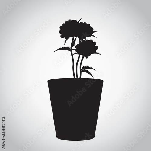 silhouette of potted plant with flowers