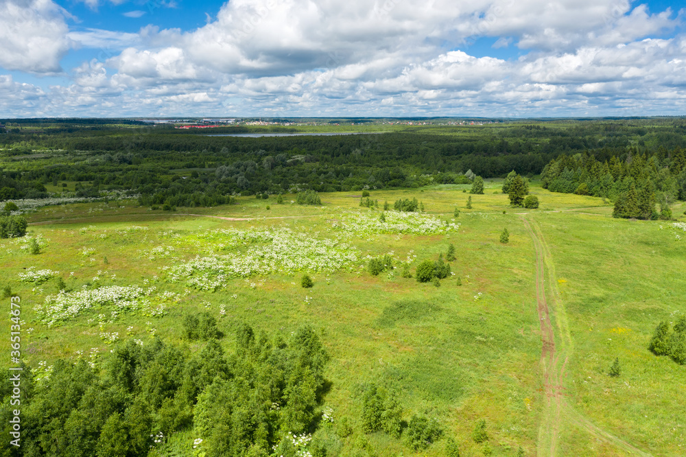 Aerial view of a country road through fields and woods