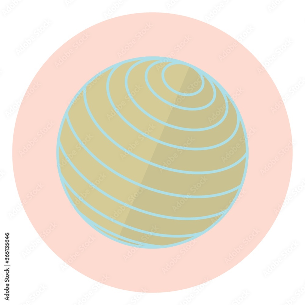 exercise ball exercise ball
