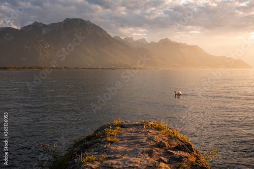 Swiss castel