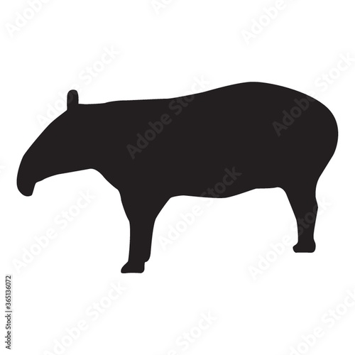 silhouette of tapir