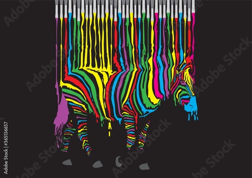 colorful zebra