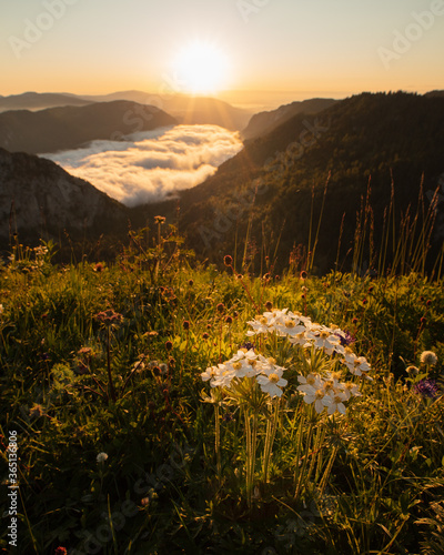 Creux-du-vent