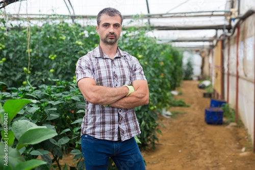 Portrait of confident farmer engaged in cultivation of organic vegetables in greenhouse on plantation of eggplants