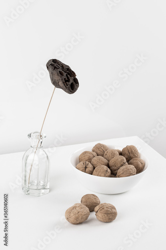 still life Walnuts in a bowl