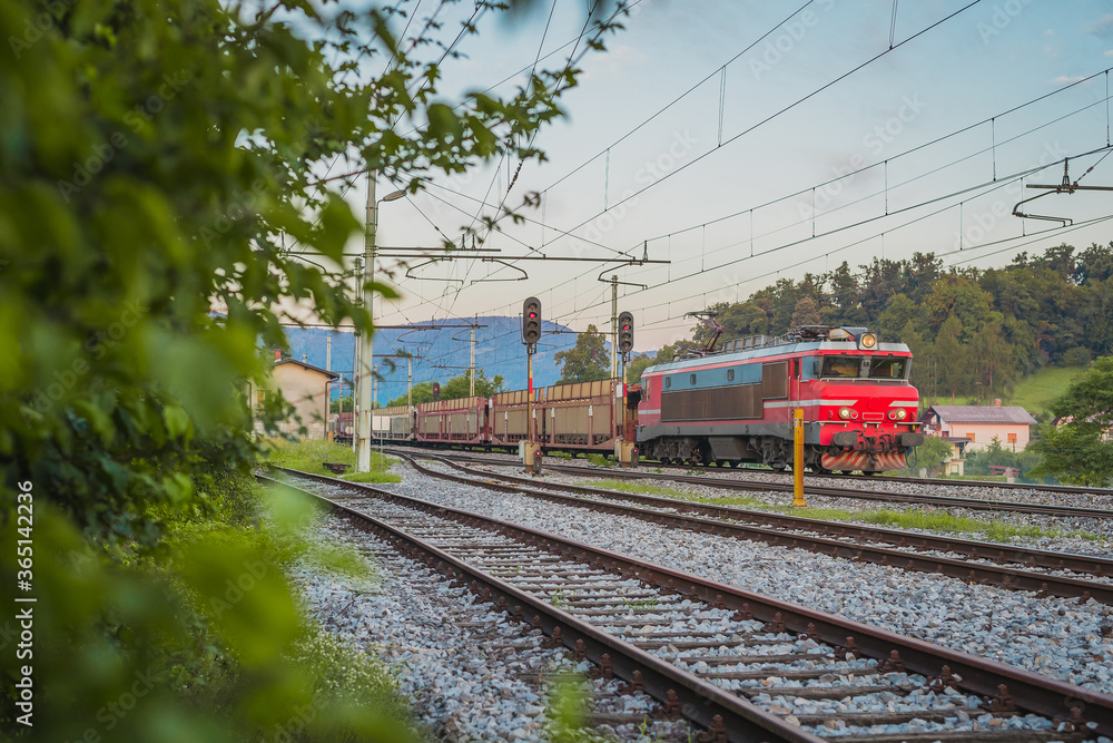 Naklejka premium Train carrying newly produced cars. Freight train with loaded automobiles bringing them from port to central europe in early morning.