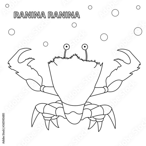Black and white vector illustration for coloring book. Cartoon ranina ranina. Underwater world. photo