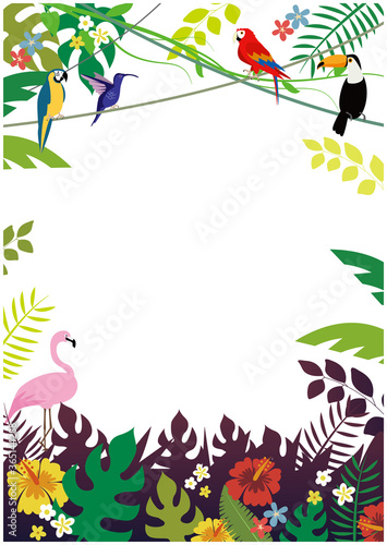 南国イメージ背景