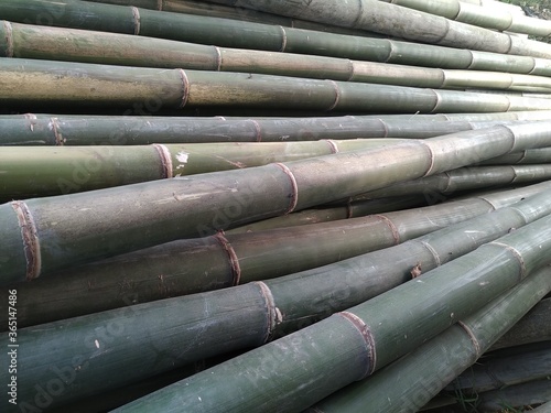 stack of bamboo
