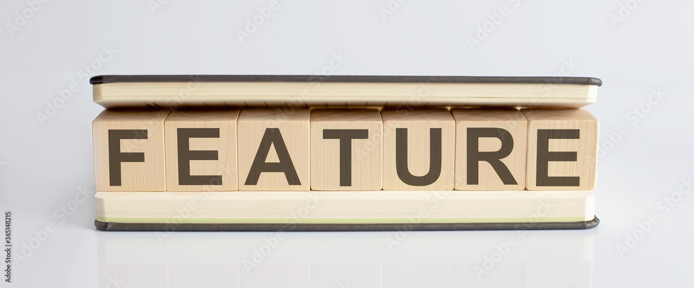 Text FEATURE written on wooden building blocks on white background. Business concept. Text FEATURE written on wooden building blocks on white background. Business concept.
