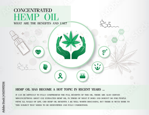concentrated hemp oil what are the benefits and uses?, Medical uses for cbd oil and cannabis,vector infographic on white background.