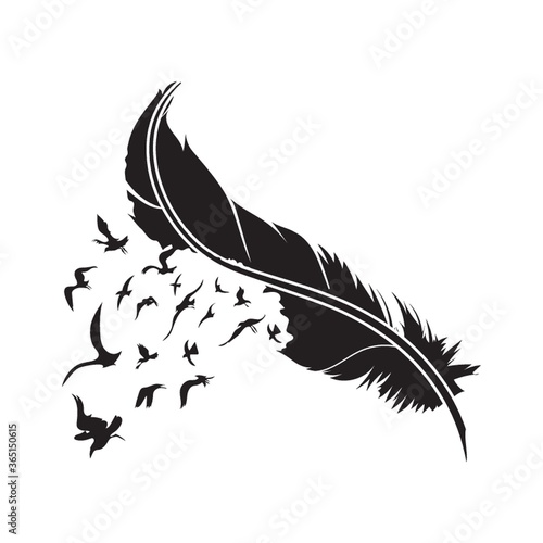feather with birds