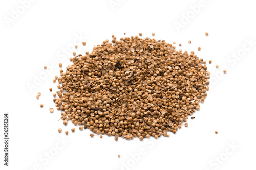 Coriander seeds isolated on white background