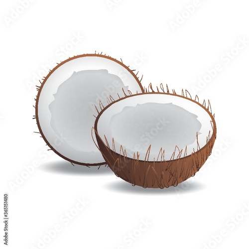 coconut cut into half