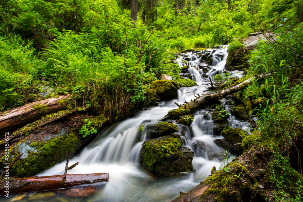 waterfall-water runs rapidly over huge stones and logs
