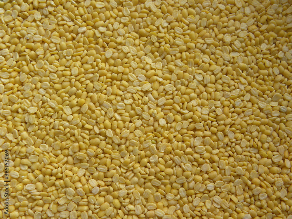 Yellow color dry split Mung dal lentils Yellow color dry split Mung dal lentils