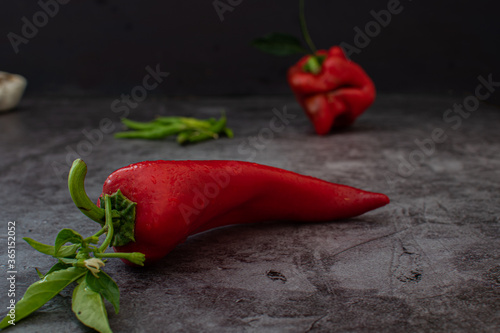 Fresh capia pepper, just from organic garden