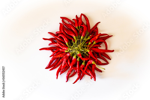 Red pepper on white background, hot chili pepper