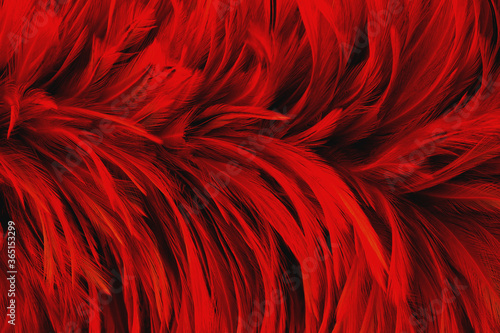 Dark red feather wing pattern texture for background and design art work. © Nattha99