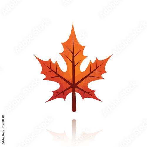 maple leaf