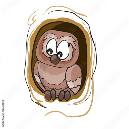 owl sitting in a hollow tree, cartoon illustration, isolated object on a white background, vector illustration,