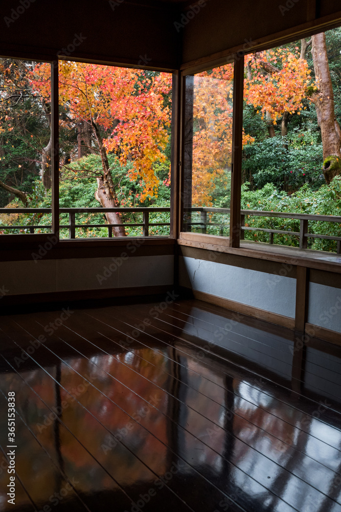 Autumn Tree in Rurikoin Temple, Kyoto, Japan Autumn Tree in Rurikoin Temple, Kyoto, Japan