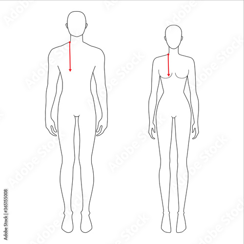 Women and men to do armscye depth measurement fashion Illustration for size chart. 7.5 head size girl and boy for site or online shop. Human body infographic template for clothes. 