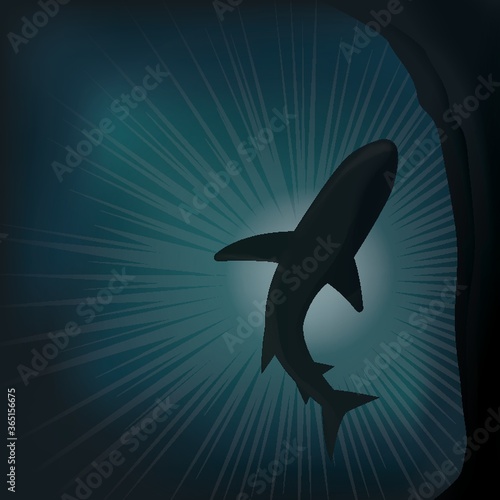 whale underwater