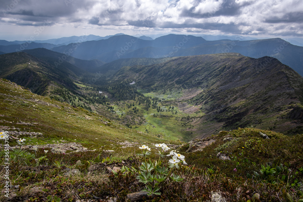 Fototapeta premium Beautiful valley in Hamar-Daban mountains