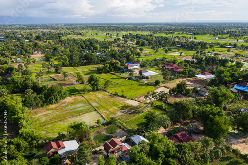 A top down aerial view of a small country town with traditional houses with orange roofs  a red dirt road  rice fields  and palm trees in the jungle in Cambodia.