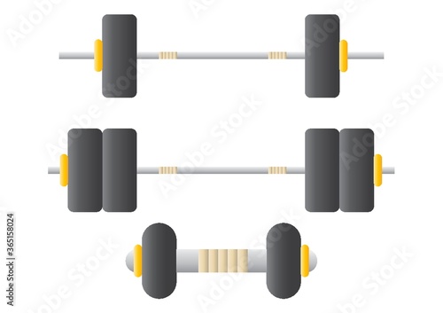 barbells and dumbbell