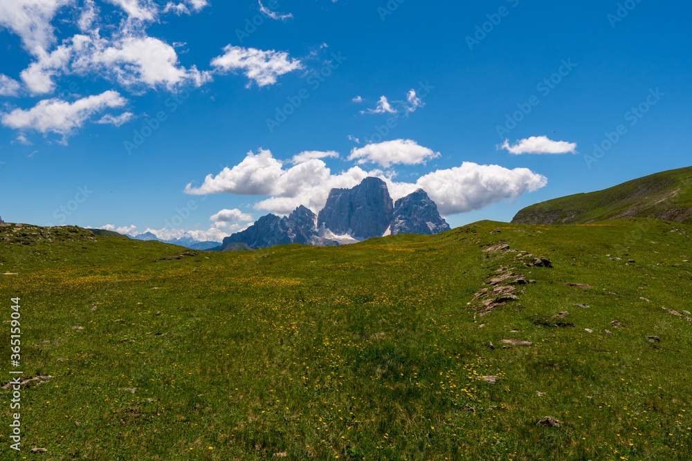 Fototapeta premium view of idyllic mountain scenery in the Alps with fresh green meadows in bloom on a beautiful sunny day in springtime, National Park Dolomite, Italy